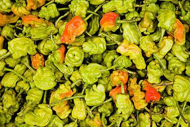 动作冒险游戏《REYNATIS》现已正式推出 Steam平台获多半好评